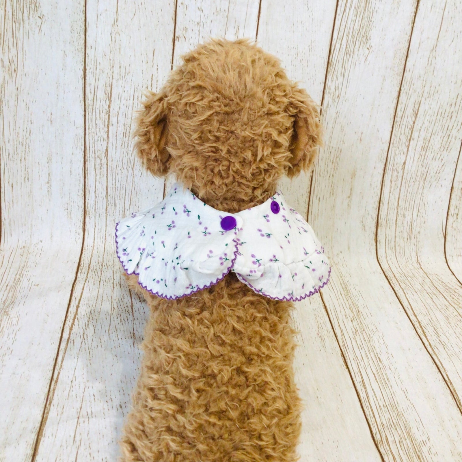 ウィズワン フリルスタイ ケープ つけ襟 バンダナスタイ イベント アクセサリー 小型犬 犬 猫 男の子 女の子 おしゃれ with WaN