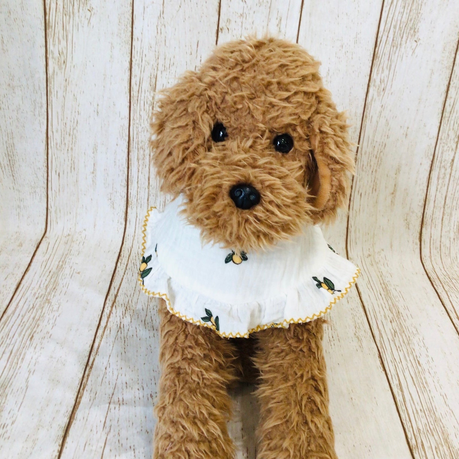 ウィズワン フリルスタイ ケープ つけ襟 バンダナスタイ イベント アクセサリー 小型犬 犬 猫 男の子 女の子 おしゃれ with WaN