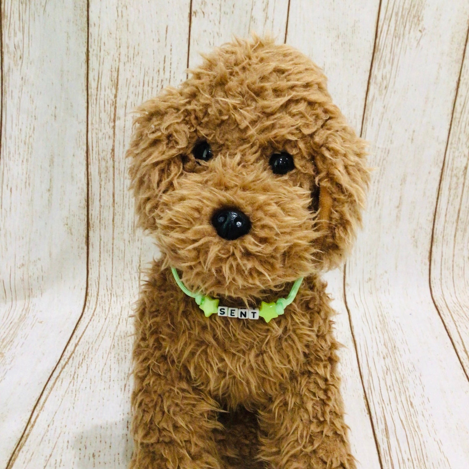 ウィズワン 愛犬のお名前入り うちの子 光る チョーカー ハンドメイド 手作り 犬 猫 男の子 女の子 おしゃれ with WaN