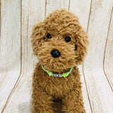 ウィズワン 愛犬のお名前入り うちの子 光る チョーカー ハンドメイド 手作り 犬 猫 男の子 女の子 おしゃれ with WaN