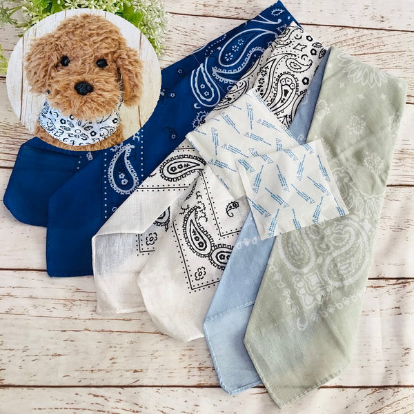 withwan-33-0_ab924a76-d2b9-