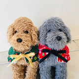 ウィズワン クリスマス ケープ 犬服 イベント ハンドメイド 男の子 女の子 おしゃれ with WaN