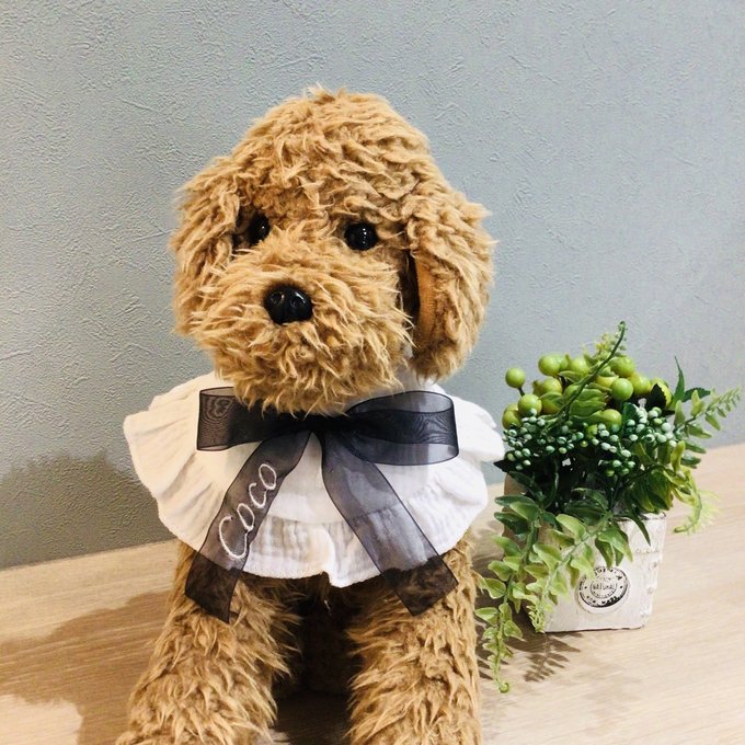 ウィズワン 愛犬のお名前入り うちの子 スタイ つけ襟 アクセサリー ハンドメイド 手作り 犬 猫 男の子 女の子 おしゃれ with WaN