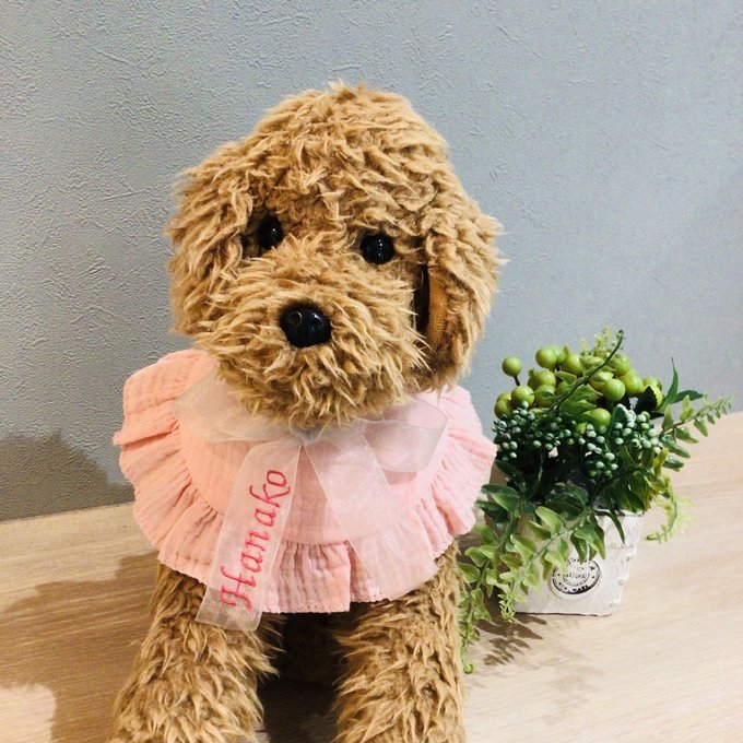 ウィズワン 愛犬のお名前入り うちの子 スタイ つけ襟 アクセサリー ハンドメイド 手作り 犬 猫 男の子 女の子 おしゃれ with WaN