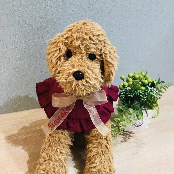ウィズワン 愛犬のお名前入り うちの子 スタイ つけ襟 アクセサリー ハンドメイド 手作り 犬 猫 男の子 女の子 おしゃれ with WaN