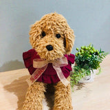 ウィズワン 愛犬のお名前入り うちの子 スタイ つけ襟 アクセサリー ハンドメイド 手作り 犬 猫 男の子 女の子 おしゃれ with WaN