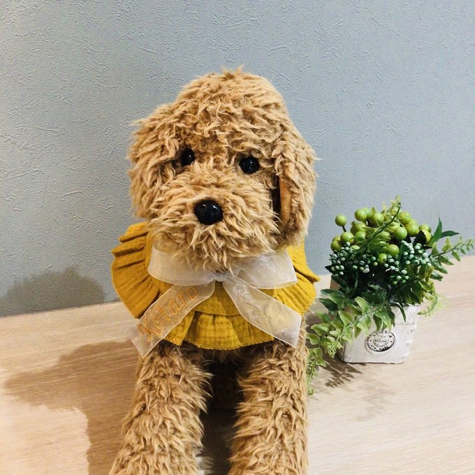 ウィズワン 愛犬のお名前入り うちの子 スタイ つけ襟 アクセサリー ハンドメイド 手作り 犬 猫 男の子 女の子 おしゃれ with WaN