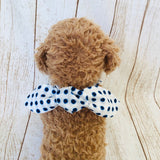 ウィズワン ネッククーラー 豆絞り バンダナ 犬 猫 クール ハンドメイド イベント アクセサリー クールネック 熱中症 犬服 男の子 女の子 おしゃれ with WaN