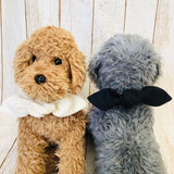 ウィズワン 愛犬の年齢入り 誕生日 バンダナ バースデー ハンドメイド アクセサリー 犬 猫 男の子 女の子 おしゃれ with WaN