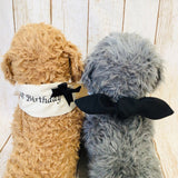 ウィズワン 愛犬の年齢入り 誕生日 バンダナ バースデー ハンドメイド アクセサリー 犬 猫 男の子 女の子 おしゃれ with WaN