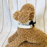 ウィズワン 愛犬の年齢入り 誕生日 バンダナ バースデー ハンドメイド アクセサリー 犬 猫 男の子 女の子 おしゃれ with WaN