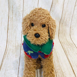 ウィズワン ネックウォーマー マフラー スヌード ハンドメイド 防寒 犬 猫 犬服 男の子 女の子 おしゃれ with WaN