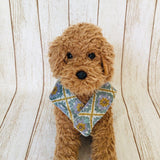 ウィズワン パジャマ 着る毛布 ベスト リバーシブル らくらく 簡単 ハンドメイド 秋冬 犬服 男の子 女の子 おしゃれ with WaN