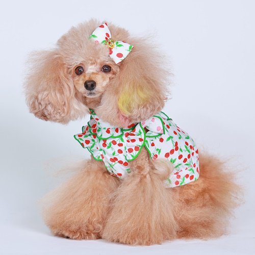 セール ゴッドピバ さくらんぼフリルブラウス かわいい 犬服 男の子 女の子 おしゃれ 春夏秋冬 GODPIVA