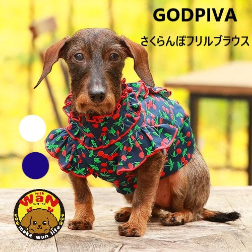 セール ゴッドピバ さくらんぼフリルブラウス かわいい 犬服 男の子 女の子 おしゃれ 春夏秋冬 GODPIVA