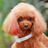 セール ゴッドピバ スオ 28°アイスクールリング ボタン付き ネッククーラー 犬 猫 男の子 女の子 おしゃれ GODPIVA suo