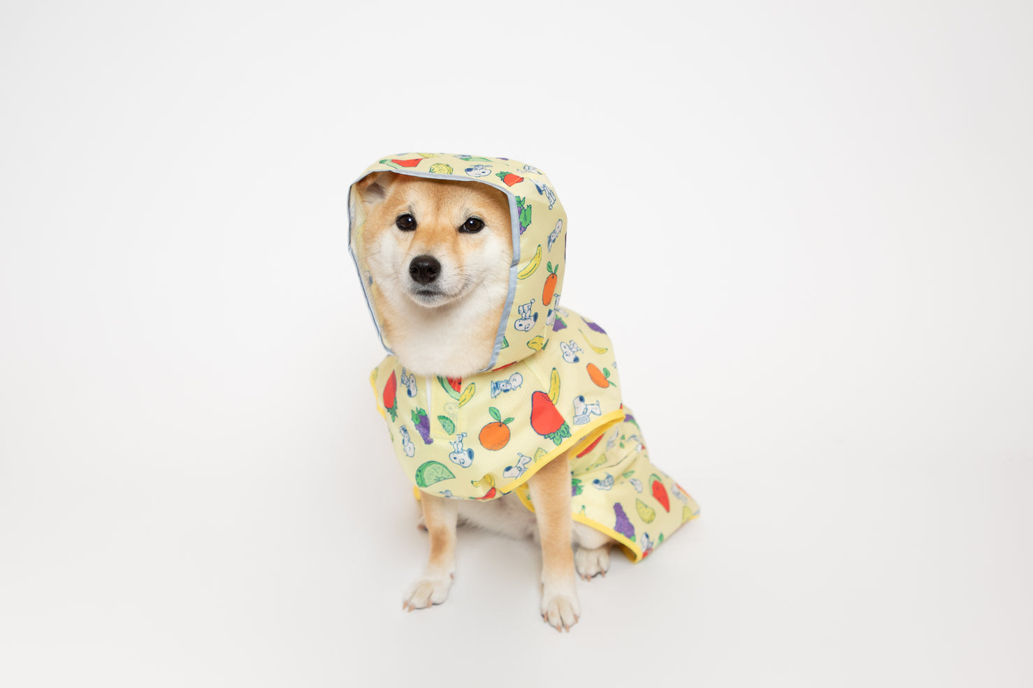 スヌーピー レインコート レインスーツ かっぱ 雨 雪 ピーナッツ 犬服 男の子 女の子 おしゃれ PEANUTS SNOOPY
