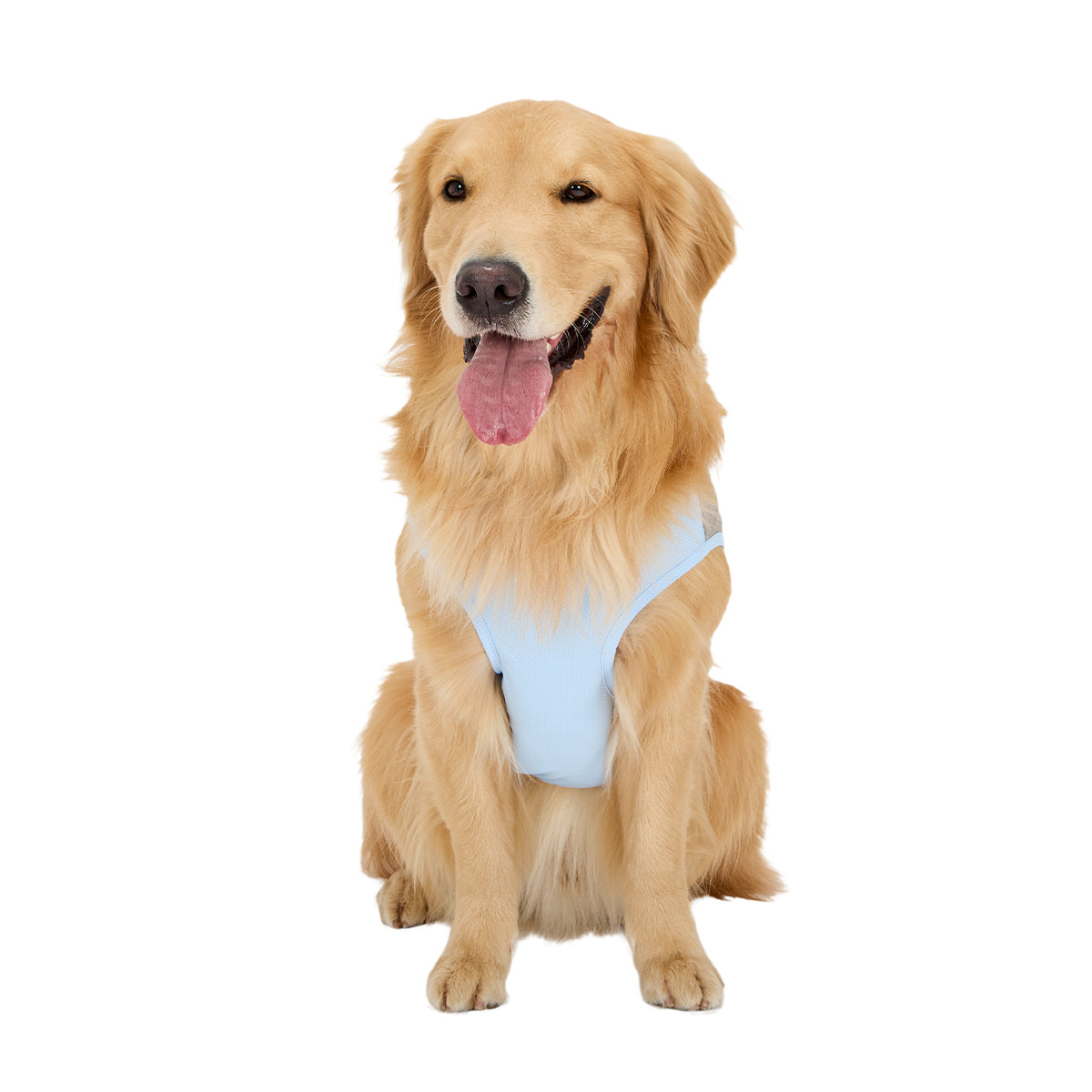 セール マンダリンブラザーズ 保冷剤を入れるポケット付き クーリングベスト 接触冷感 犬の服 クール タンク ベスト 夏服 ひんやり ドッグウェア 犬服 男の子 女の子 おしゃれ MANDARINE BROTHERS