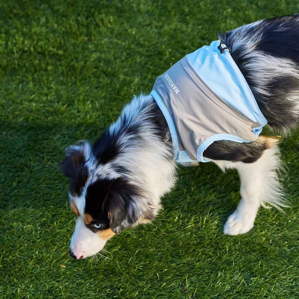 セール マンダリンブラザーズ 保冷剤を入れるポケット付き クーリングベスト 接触冷感 犬の服 クール タンク ベスト 夏服 ひんやり ドッグウェア 犬服 男の子 女の子 おしゃれ MANDARINE BROTHERS