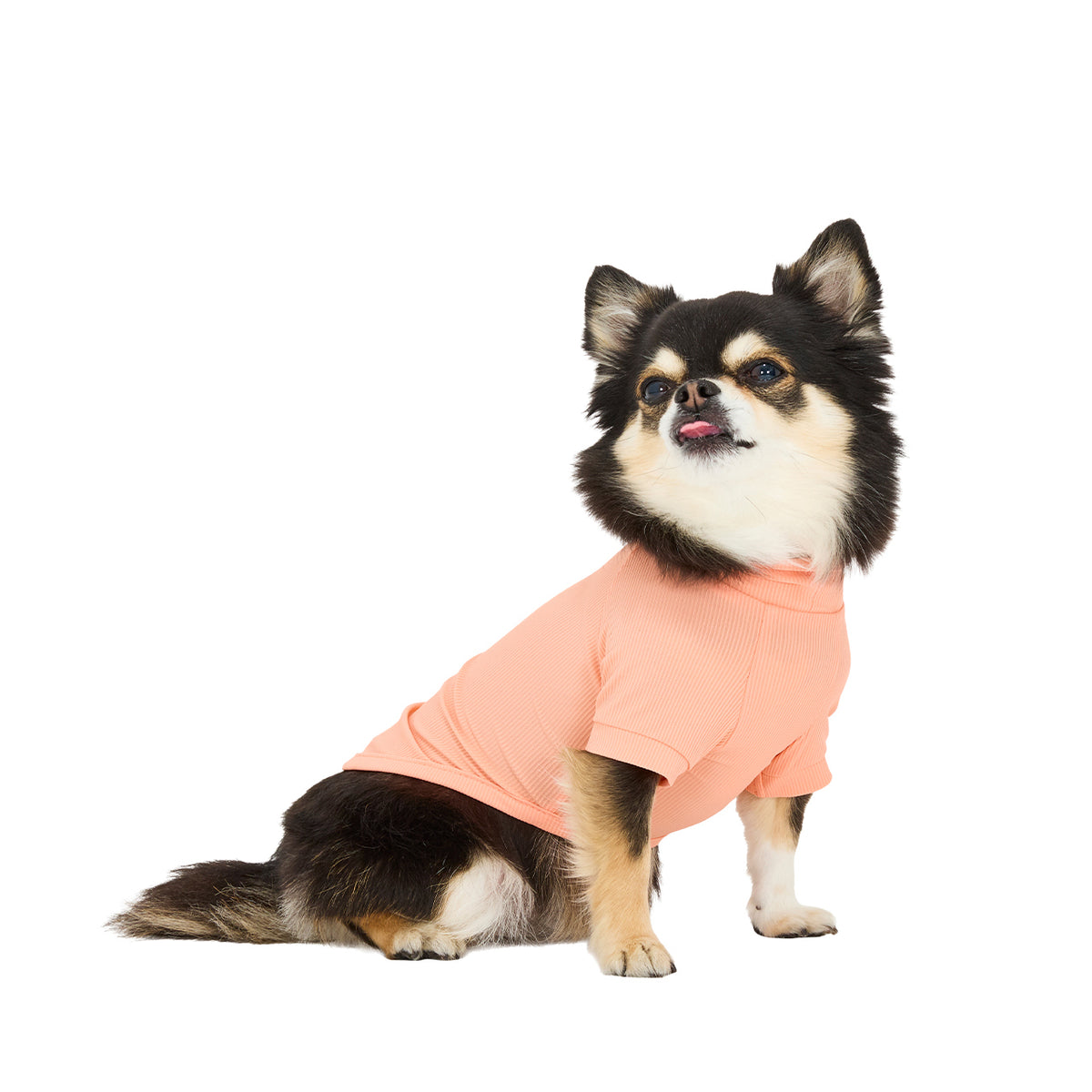 マンダリンブラザーズ 接触冷感 防虫 UVカット インセクトシールドスキンタイトクールTシャツ 夏服 虫よけ クール 男の子 女の子 おしゃれ MANDARINE BROTHERS