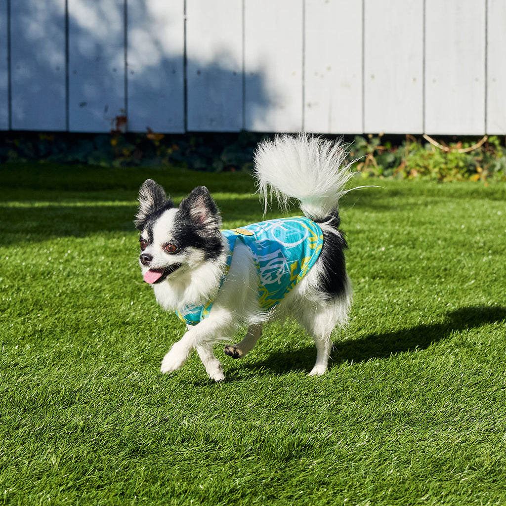 セール マンダリンブラザーズ 絞って振る冷感 CCLクーリングタンク 犬の服 クール タンク ベスト ひんやり 犬 夏服 ドッグウェア 犬服 男の子 女の子 おしゃれ MANDARINE BROTHERS