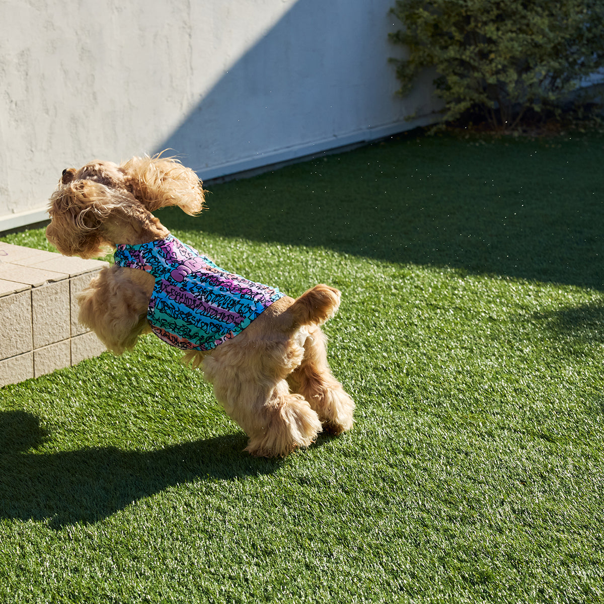 セール マンダリンブラザーズ 絞って振る冷感 CCLクーリングタンク 犬の服 クール タンク ベスト ひんやり 犬 夏服 ドッグウェア 犬服 男の子 女の子 おしゃれ MANDARINE BROTHERS