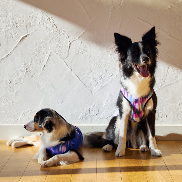 セール マンダリンブラザーズ 接触冷感 クールオーロラタンク 犬の服 クール タンク メッシュ ひんやり 夏服 ドッグウェア 犬服 男の子 女の子 おしゃれ MANDARINE BROTHERS