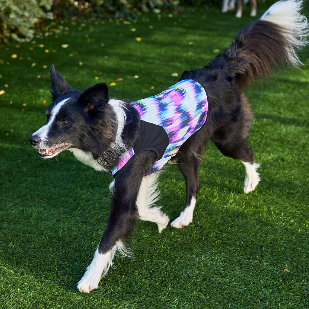 セール マンダリンブラザーズ 接触冷感 クールオーロラタンク 犬の服 クール タンク メッシュ ひんやり 夏服 ドッグウェア 犬服 男の子 女の子 おしゃれ MANDARINE BROTHERS