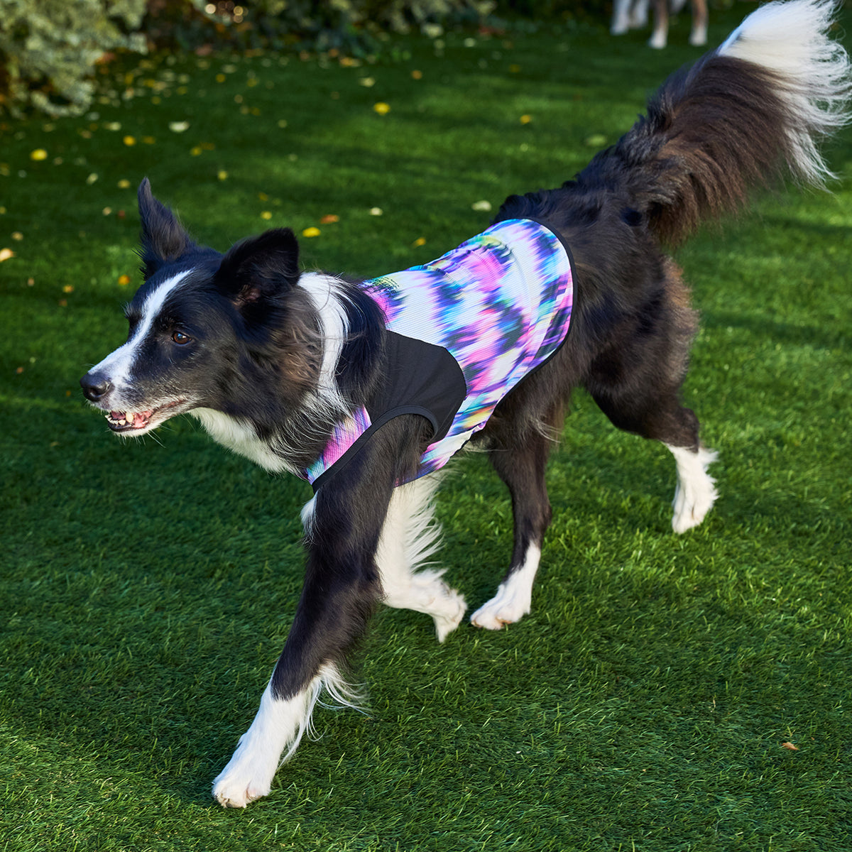 セール マンダリンブラザーズ 接触冷感 クールオーロラタンク 犬の服 クール タンク メッシュ ひんやり 夏服 ドッグウェア 犬服 男の子 女の子 おしゃれ MANDARINE BROTHERS