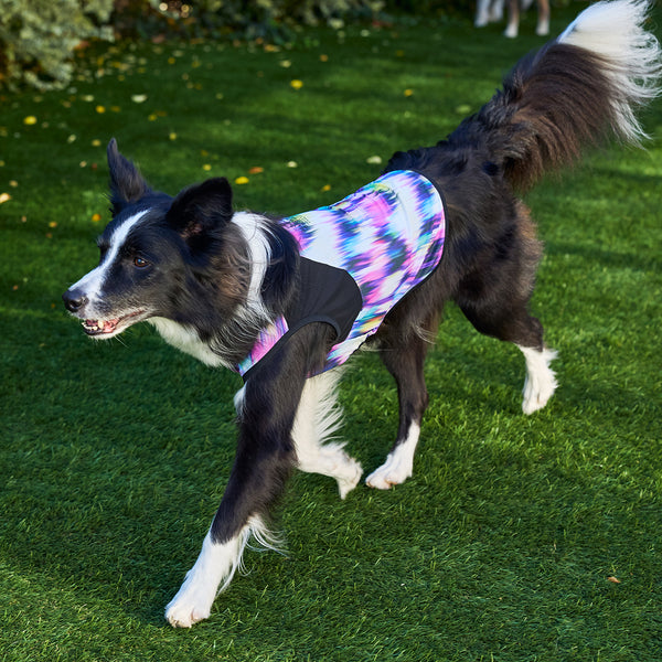 セール マンダリンブラザーズ 接触冷感 クールオーロラタンク 犬の服 クール タンク メッシュ ひんやり 夏服 ドッグウェア 犬服 男の子 女の子 おしゃれ MANDARINE BROTHERS