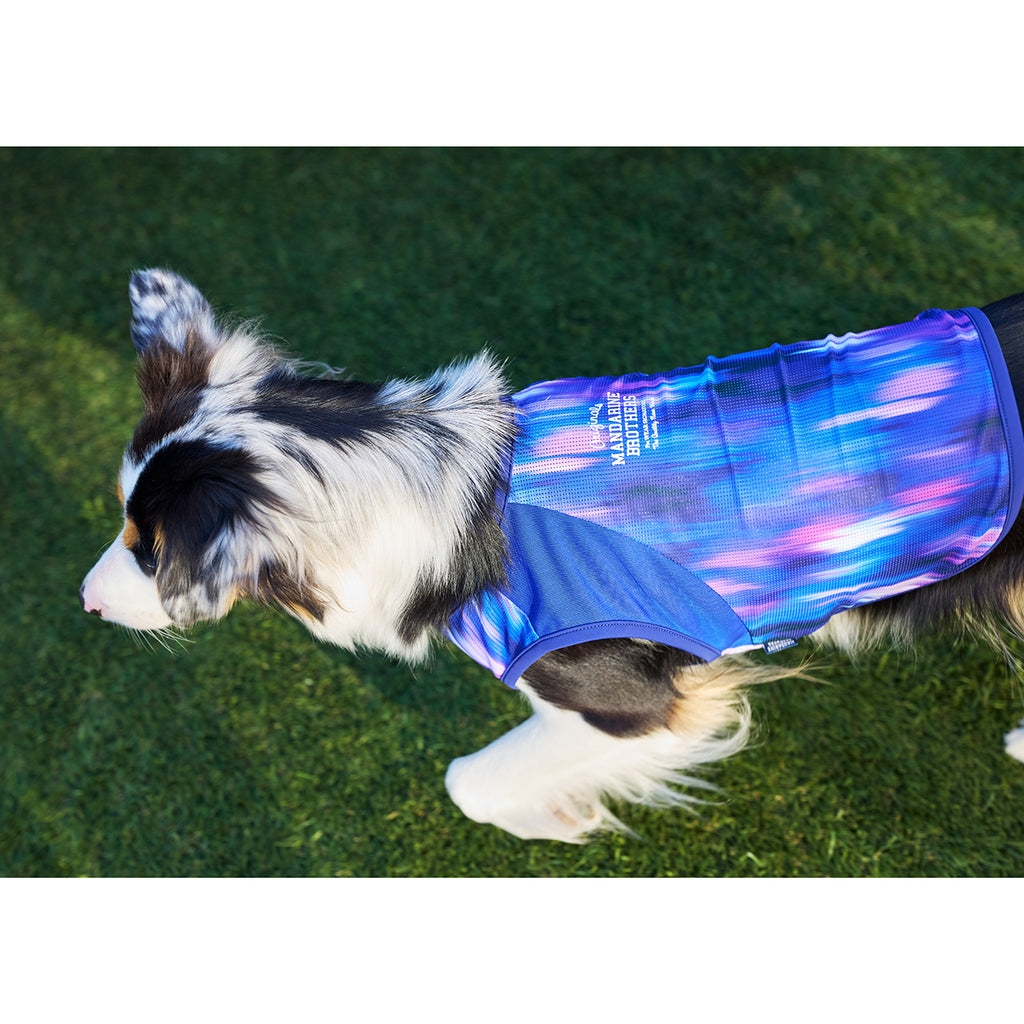 セール マンダリンブラザーズ 接触冷感 クールオーロラタンク 犬の服 クール タンク メッシュ ひんやり 夏服 ドッグウェア 犬服 男の子 女の子 おしゃれ MANDARINE BROTHERS