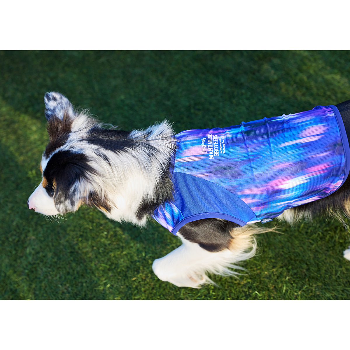 セール マンダリンブラザーズ 接触冷感 クールオーロラタンク 犬の服 クール タンク メッシュ ひんやり 夏服 ドッグウェア 犬服 男の子 女の子 おしゃれ MANDARINE BROTHERS
