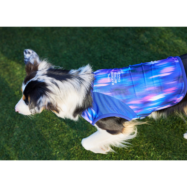 セール マンダリンブラザーズ 接触冷感 クールオーロラタンク 犬の服 クール タンク メッシュ ひんやり 夏服 ドッグウェア 犬服 男の子 女の子 おしゃれ MANDARINE BROTHERS