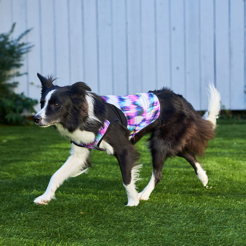 セール マンダリンブラザーズ 接触冷感 クールオーロラタンク 犬の服 クール タンク メッシュ ひんやり 夏服 ドッグウェア 犬服 男の子 女の子 おしゃれ MANDARINE BROTHERS