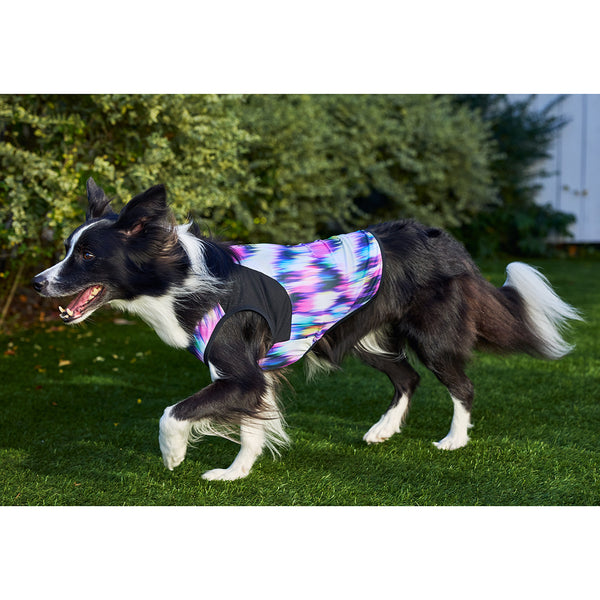 セール マンダリンブラザーズ 接触冷感 クールオーロラタンク 犬の服 クール タンク メッシュ ひんやり 夏服 ドッグウェア 犬服 男の子 女の子 おしゃれ MANDARINE BROTHERS