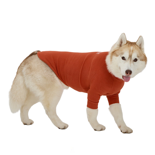 NEW マンダリンブラザーズ 発熱保温 スキンタイトウォームTシャツ 秋 冬 防寒 ドッグウェア 犬服 男の子 女の子 おしゃれ MANDARINE BROTHERS