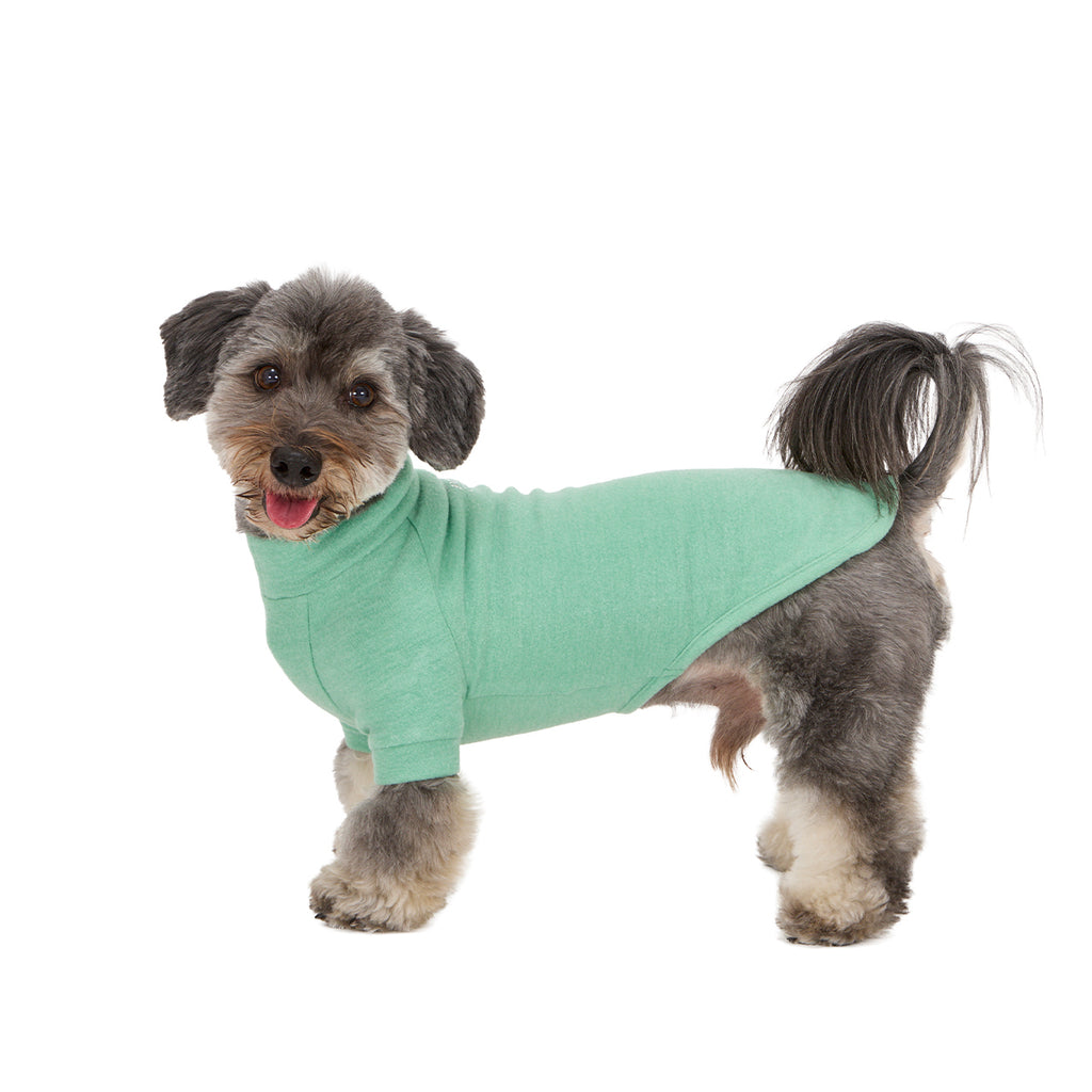 NEW マンダリンブラザーズ 発熱保温 スキンタイトウォームTシャツ 秋 冬 防寒 ドッグウェア 犬服 男の子 女の子 おしゃれ MANDARINE BROTHERS