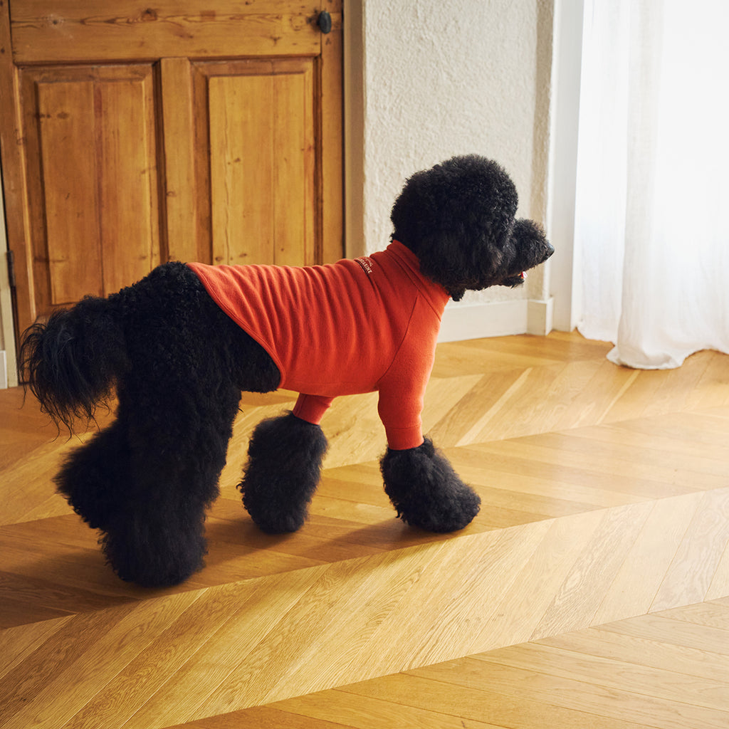 NEW マンダリンブラザーズ 発熱保温 スキンタイトウォームTシャツ 秋 冬 防寒 ドッグウェア 犬服 男の子 女の子 おしゃれ MANDARINE BROTHERS