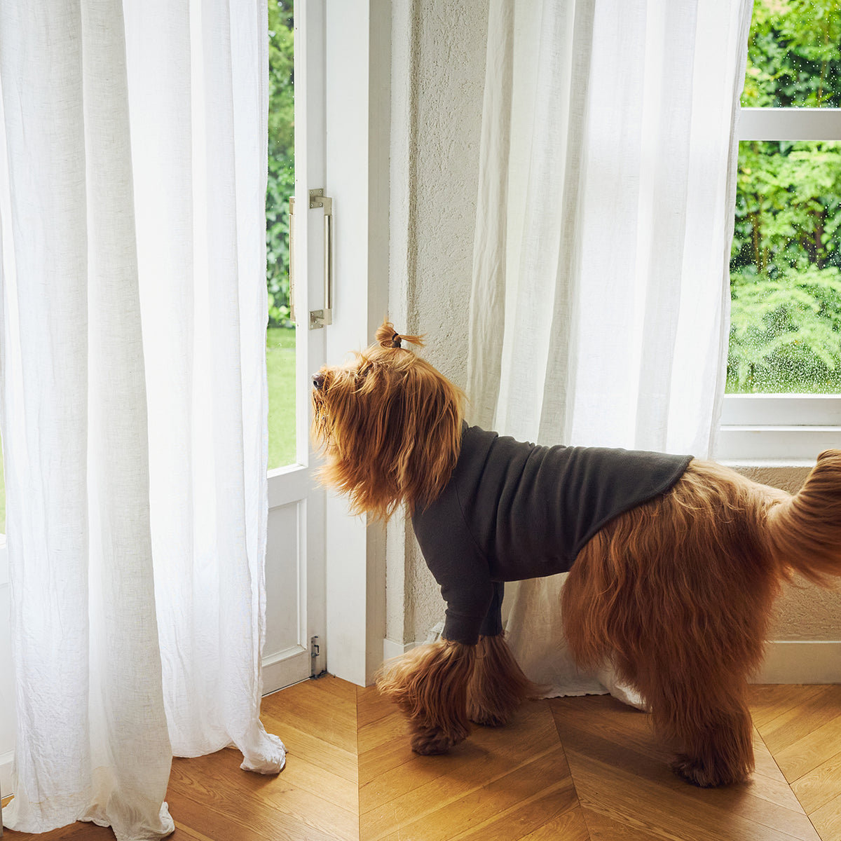 NEW マンダリンブラザーズ 発熱保温 スキンタイトウォームTシャツ 秋 冬 防寒 ドッグウェア 犬服 男の子 女の子 おしゃれ MANDARINE BROTHERS