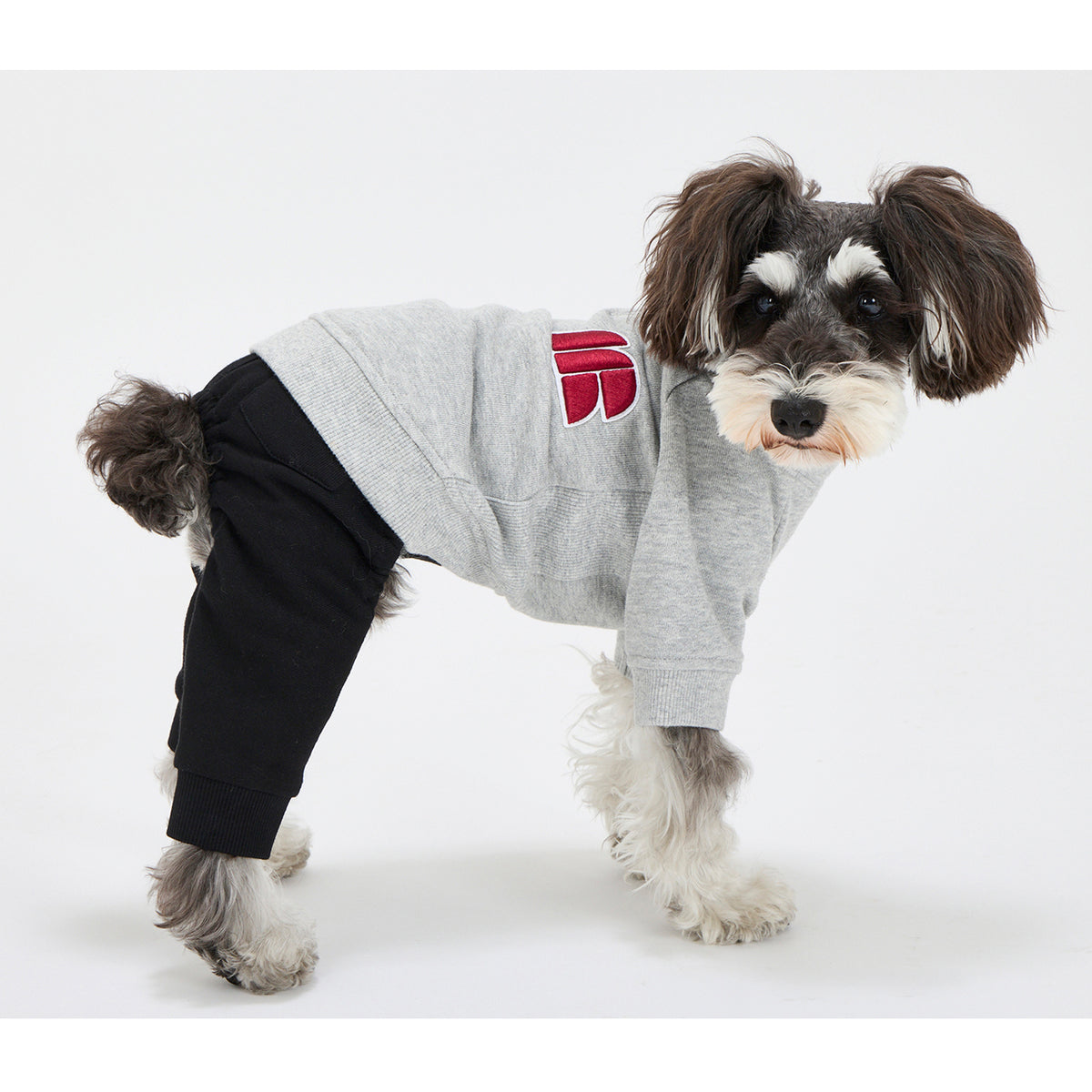 NEW マンダリンブラザーズ サスペンダーパンツ スウェットパンツ 本革 背あて レイヤードスタイル ドッグウェア 冬 男の子 女の子 おしゃれ MANDARINE BROTHERS