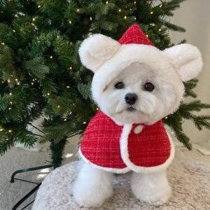 ウィズワン クリスマス 犬 ケープ ポンチョ サンタクロース イベント 猫 犬服 おしゃれ 男の子 女の子 with WaN