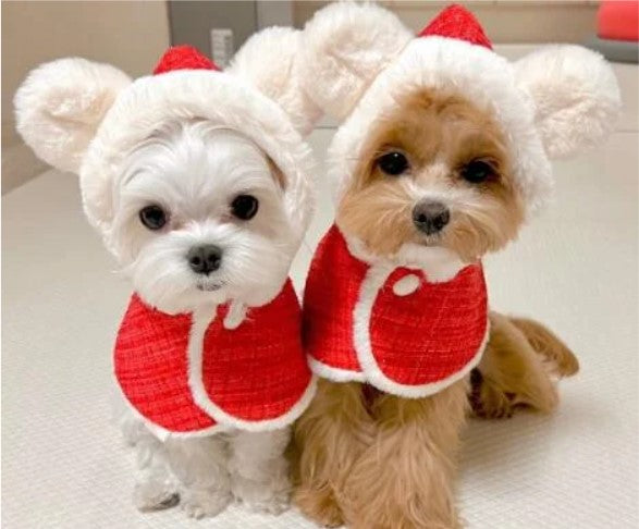ウィズワン クリスマス 犬 ケープ ポンチョ サンタクロース イベント 猫 犬服 おしゃれ 男の子 女の子 with WaN