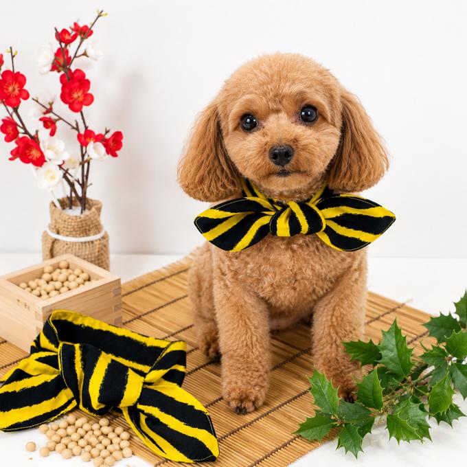ウィズワン 節分 バンダナ スカーフ ハンドメイド 豆まき 鬼 虎 トラ コスチューム アクセサリー イベント 犬 猫 男の子 女の子 おしゃれ with WaN