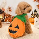 ウィズワン ハロウィン 犬 かぼちゃパンツ パンプキン ハロウィーン イベント 猫 犬服 おしゃれ 男の子 女の子 with WaN