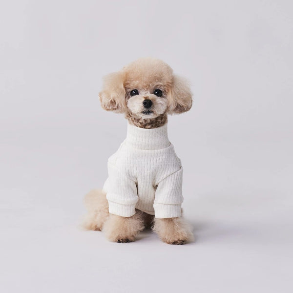 グンゼ パッチジャガード Tシャツ 小型犬 綿100% 犬服 ペット服 ペットウェア ドッグウェア 男の子 女の子 おしゃれ GARRR