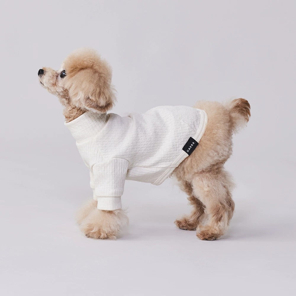 グンゼ パッチジャガード Tシャツ 小型犬 綿100% 犬服 ペット服 ペットウェア ドッグウェア 男の子 女の子 おしゃれ GARRR
