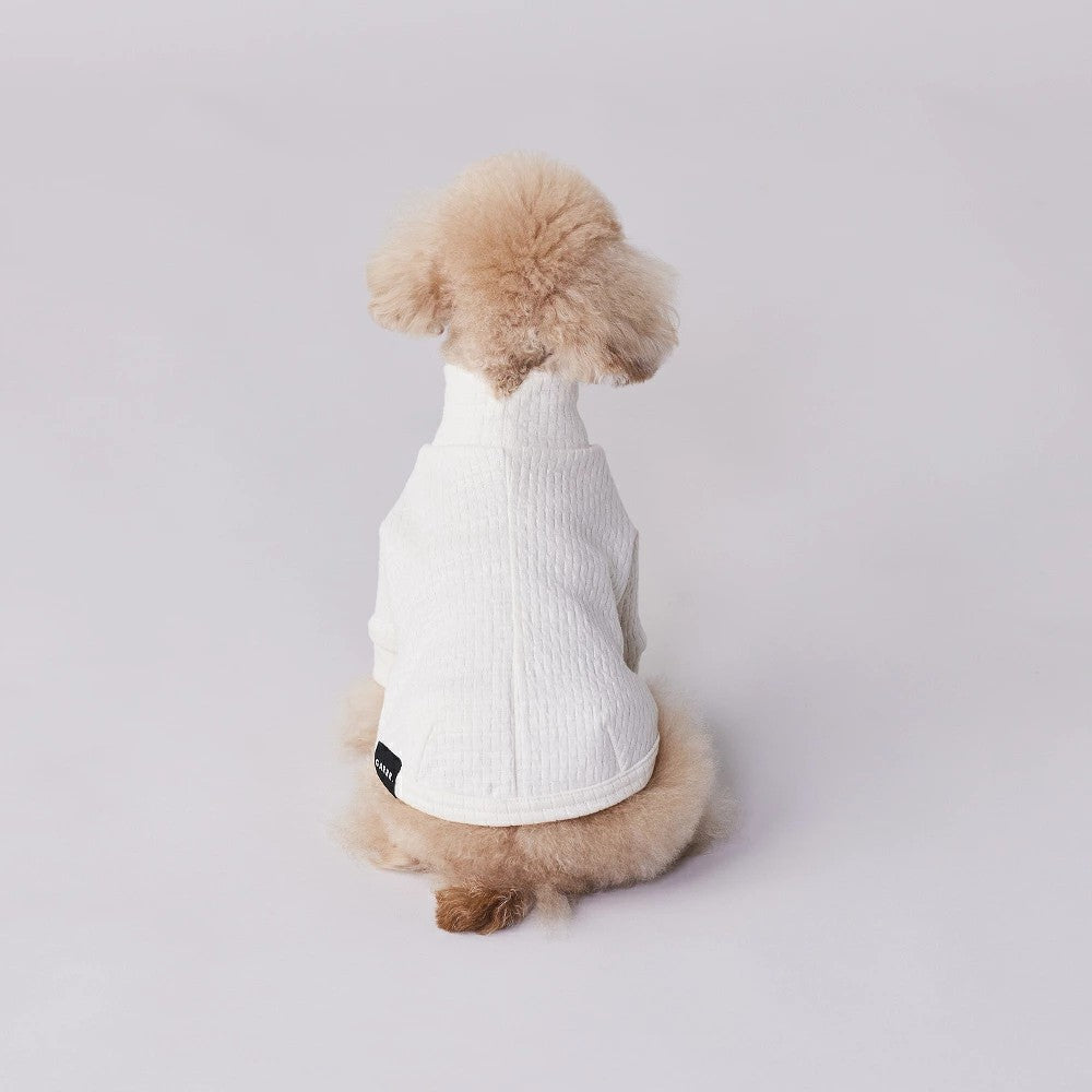 グンゼ パッチジャガード Tシャツ 小型犬 綿100% 犬服 ペット服 ペットウェア ドッグウェア 男の子 女の子 おしゃれ GARRR