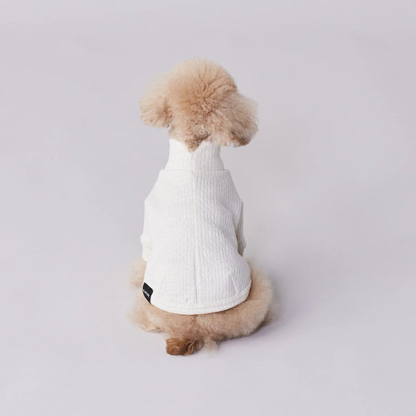 グンゼ パッチジャガード Tシャツ 小型犬 綿100% 犬服 ペット服 ペットウェア ドッグウェア 男の子 女の子 おしゃれ GARRR