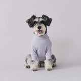 グンゼ パッチジャカード Tシャツ 小型犬 綿100% 犬服 ペット服 ペットウェア ドッグウェア 男の子 女の子 おしゃれ GARRR