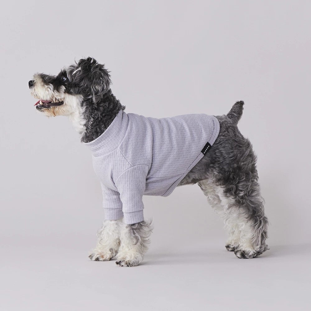 グンゼ パッチジャガード Tシャツ 小型犬 綿100% 犬服 ペット服 ペットウェア ドッグウェア 男の子 女の子 おしゃれ GARRR
